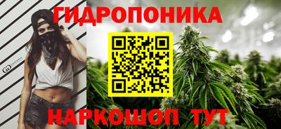 гидропоника Пушкино