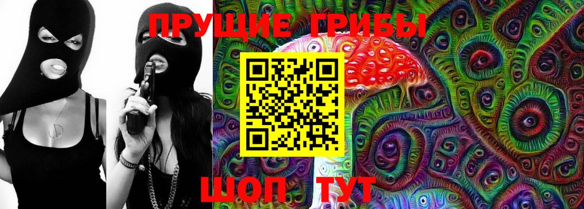 Прохладный  Псилоцибиновые грибы Psilocybine cubensis  Вход с VPN 