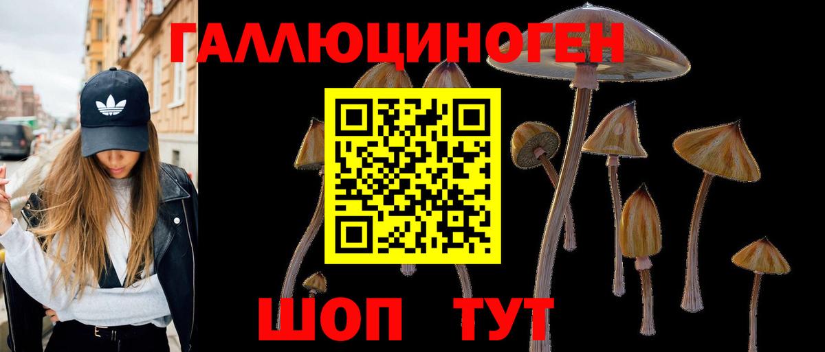 Галлюциногенные грибы ЛСД Прохладный
